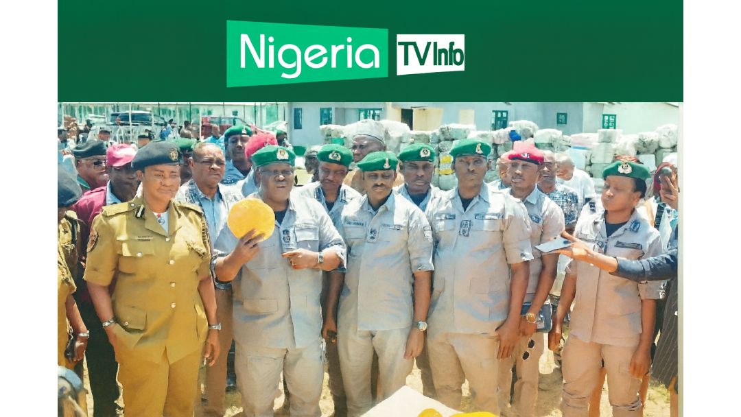 Àwọn Ọdẹ Ààrẹ Customs Mú Ọ̀pọ̀ Òògùn Lílòkàn àti Iyẹfun Tí Ó Ti Parí Ọjọ́ Tí Ó Tó N1.9bn Ní Seme