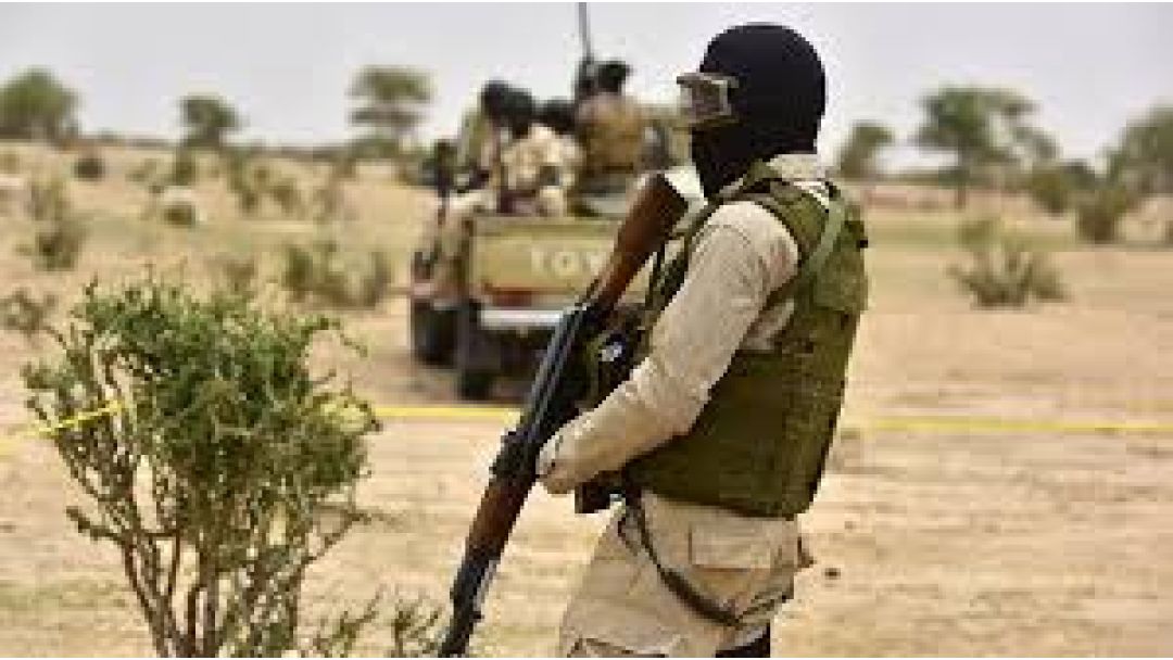 Dalhatu: Boko Haram, Bandits Have Declared War On Nigeria, ECOWAS Should Embark On Joint Military Action