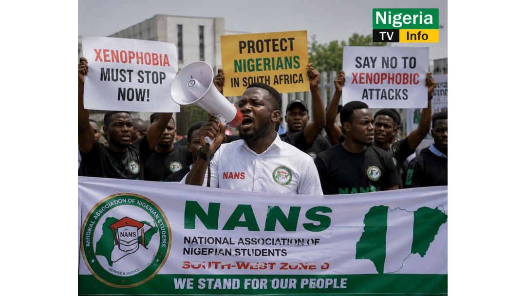 NANS Yiri Egwu Ngagharịiwe Megide Ụlọọrụ South Africa Dị Na Naịjirịa Maka Mwakpo Xenophobia