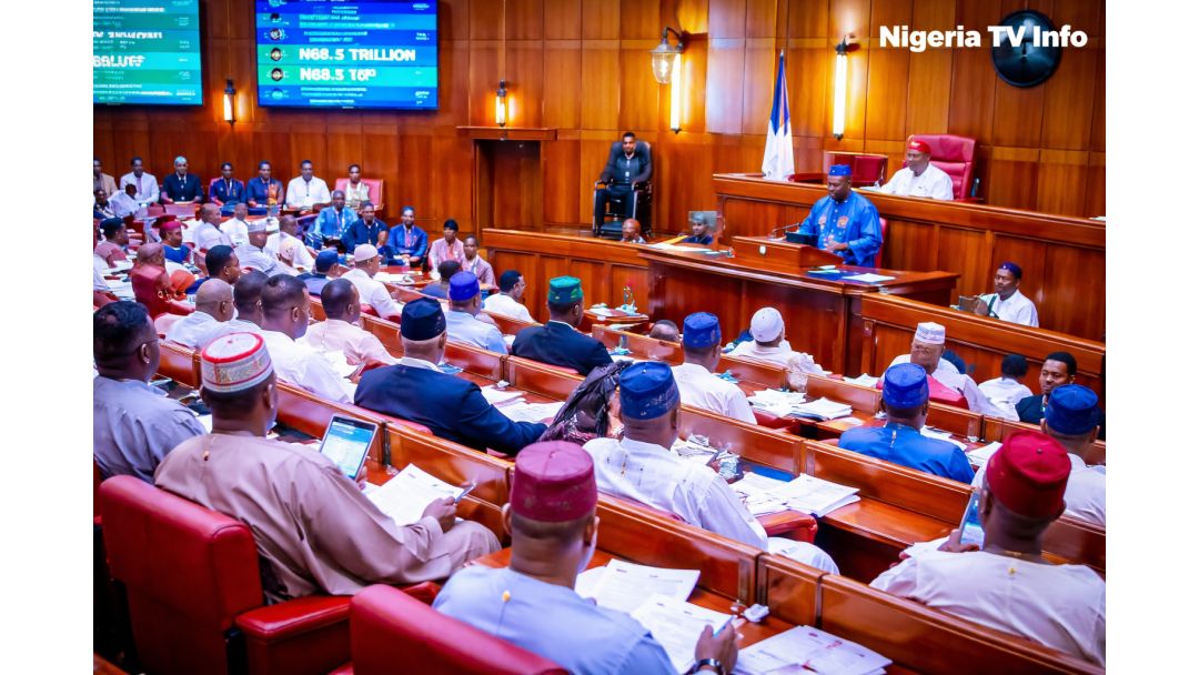 Nigerian Senate Orders Arrest of Bandits Flaunting Cash on TikTok